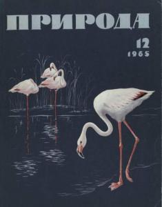 Природа 1965 №12