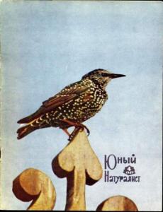 Юный натуралист 1967 №04