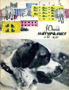 Юный натуралист 1967 №12