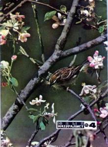 Юный натуралист 1975 №04